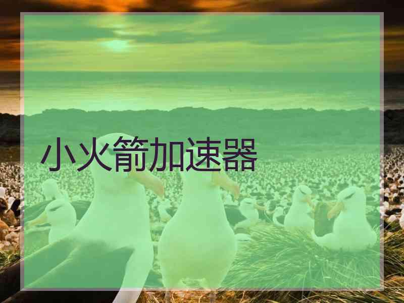 小火箭加速器