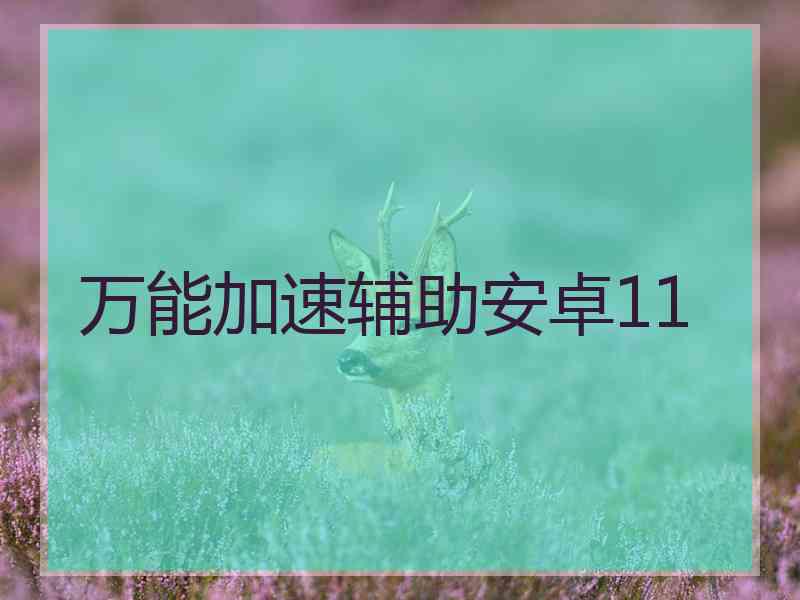 万能加速辅助安卓11