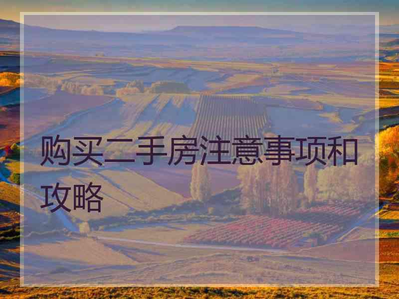 购买二手房注意事项和攻略