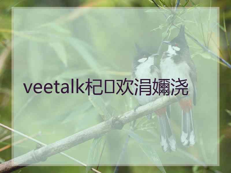 veetalk杞欢涓嬭浇