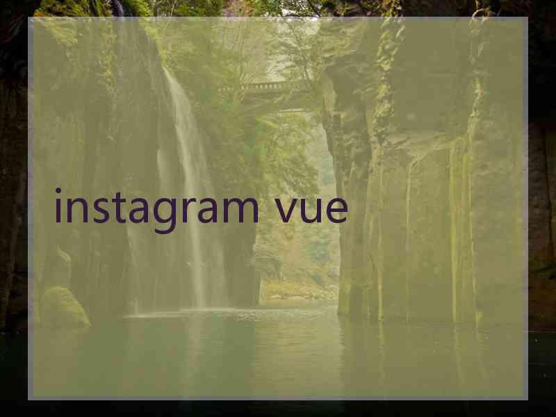 instagram vue