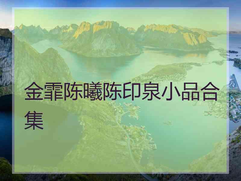 金霏陈曦陈印泉小品合集