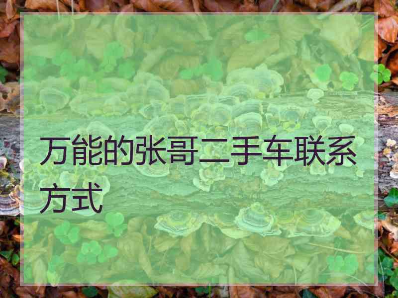 万能的张哥二手车联系方式