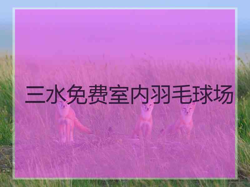 三水免费室内羽毛球场