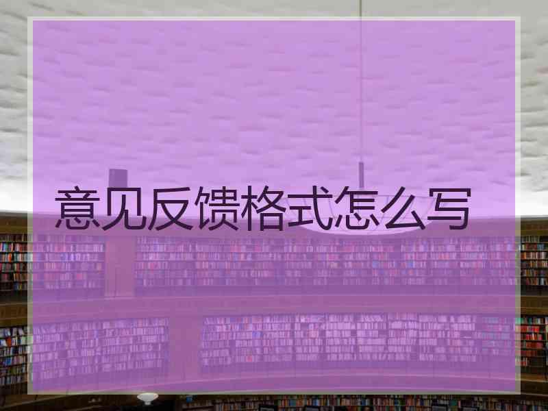 意见反馈格式怎么写
