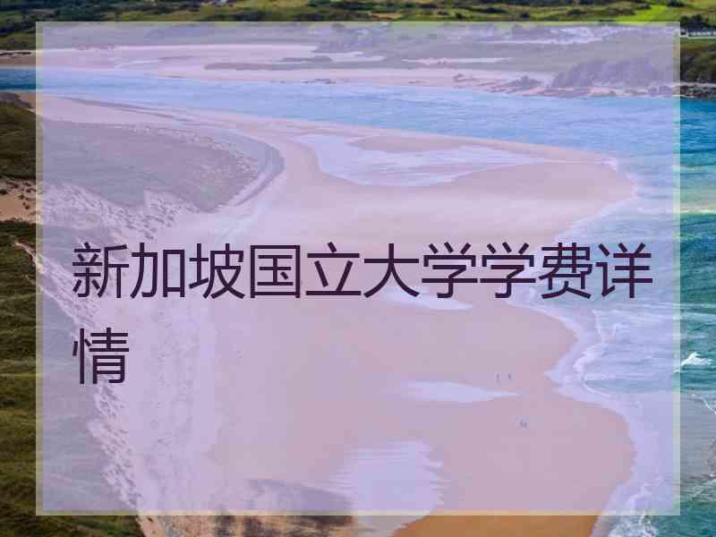 新加坡国立大学学费详情