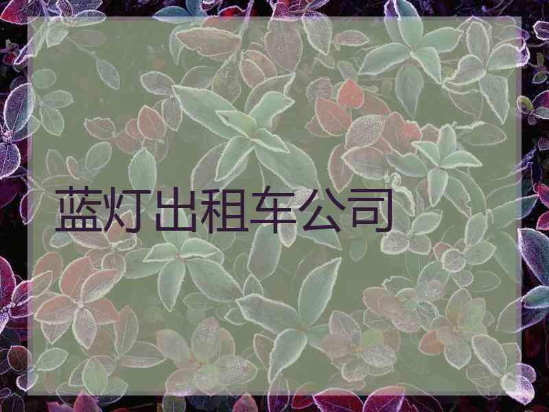 蓝灯出租车公司