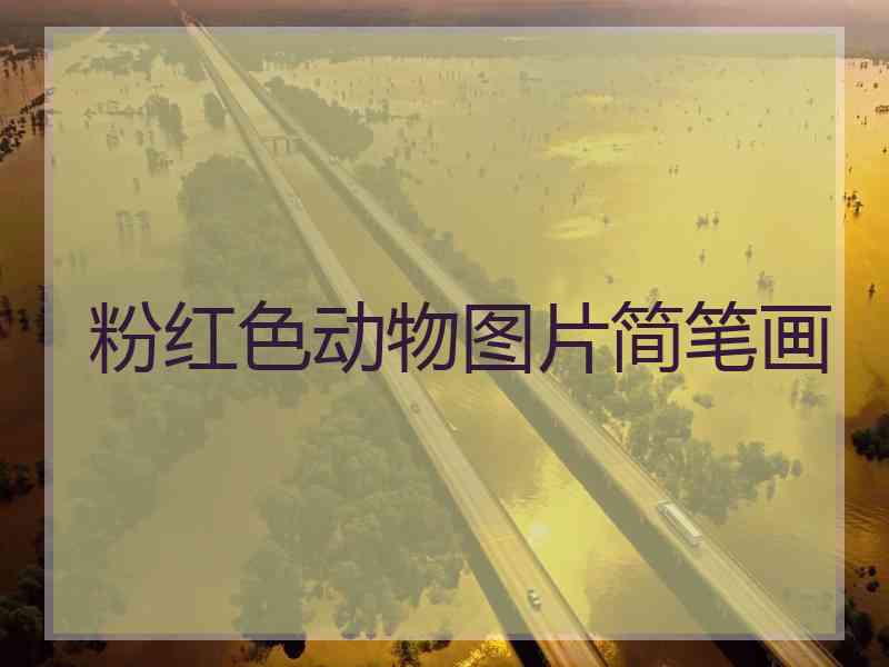 粉红色动物图片简笔画