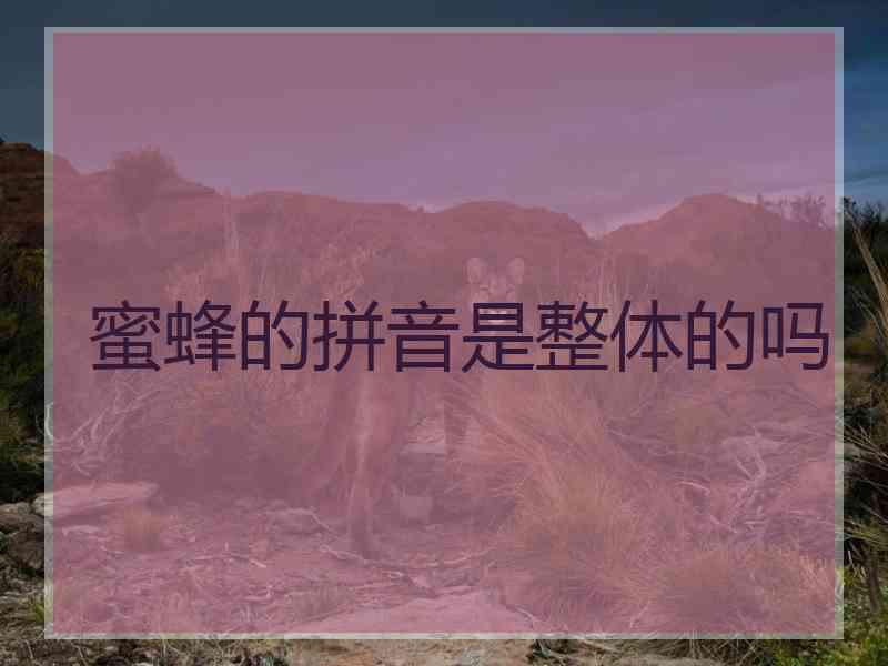 蜜蜂的拼音是整体的吗