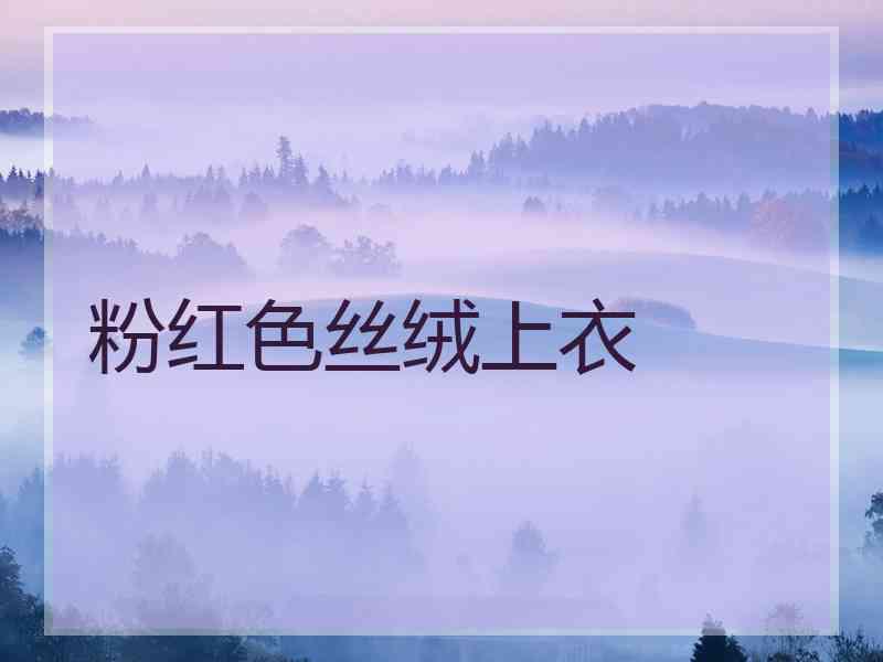 粉红色丝绒上衣