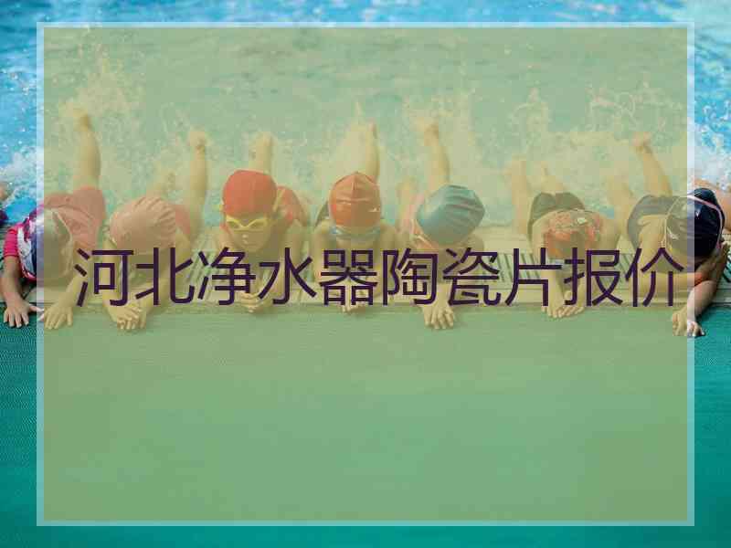 河北净水器陶瓷片报价