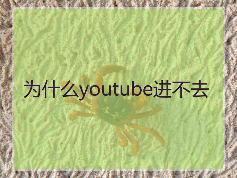 为什么youtube进不去