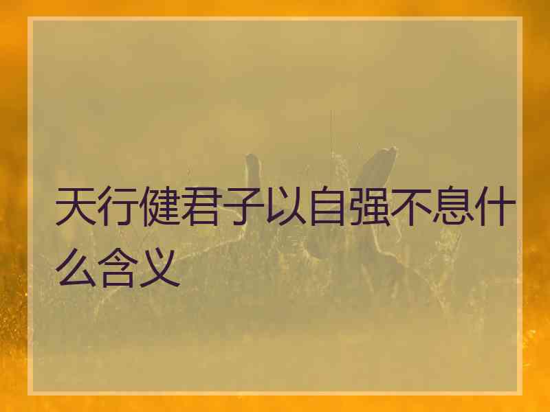 天行健君子以自强不息什么含义