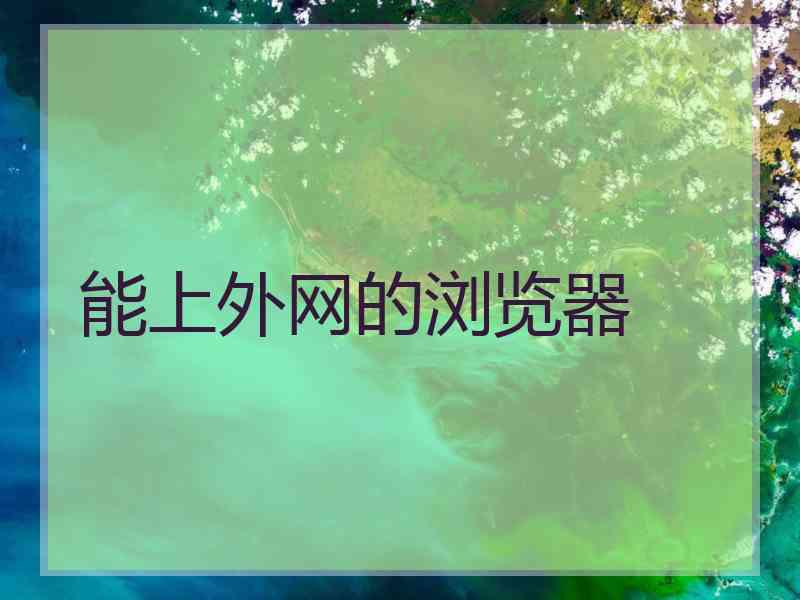 能上外网的浏览器