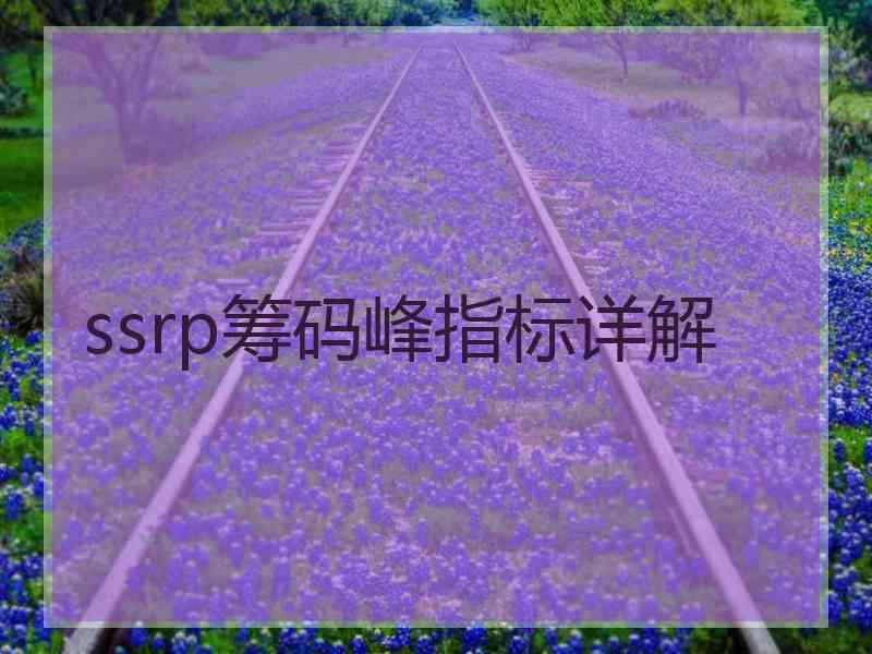 ssrp筹码峰指标详解