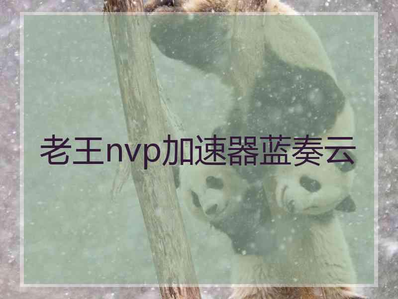 老王nvp加速器蓝奏云