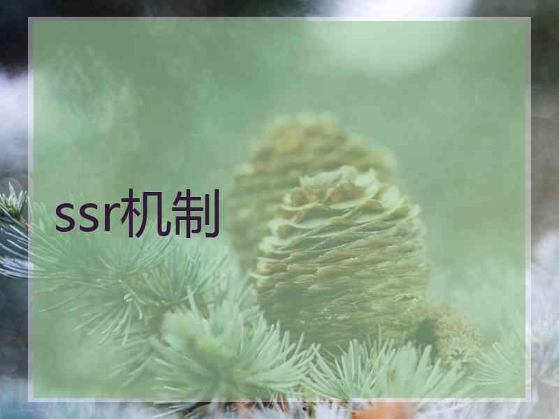 ssr机制
