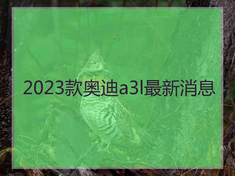 2023款奥迪a3l最新消息