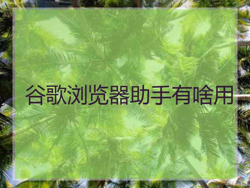谷歌浏览器助手有啥用