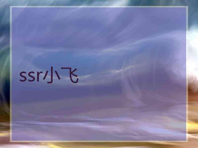 ssr小飞