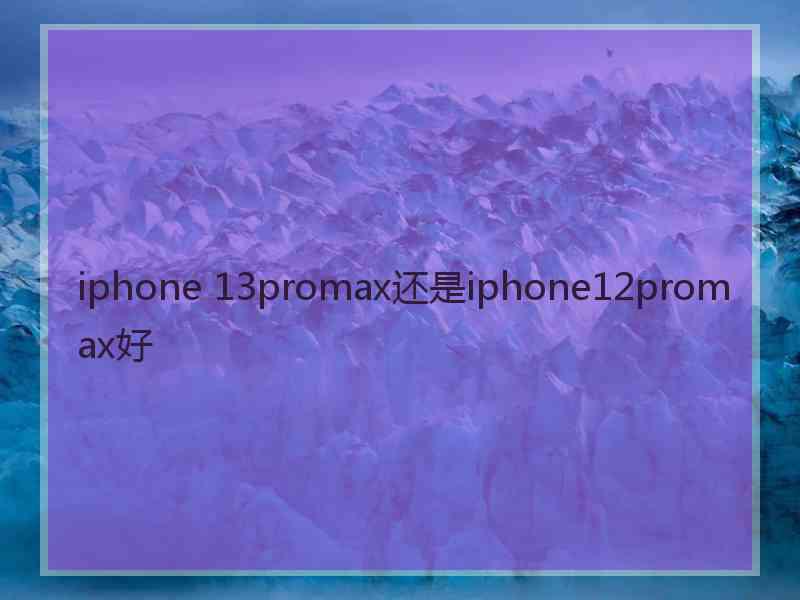 iphone 13promax还是iphone12promax好