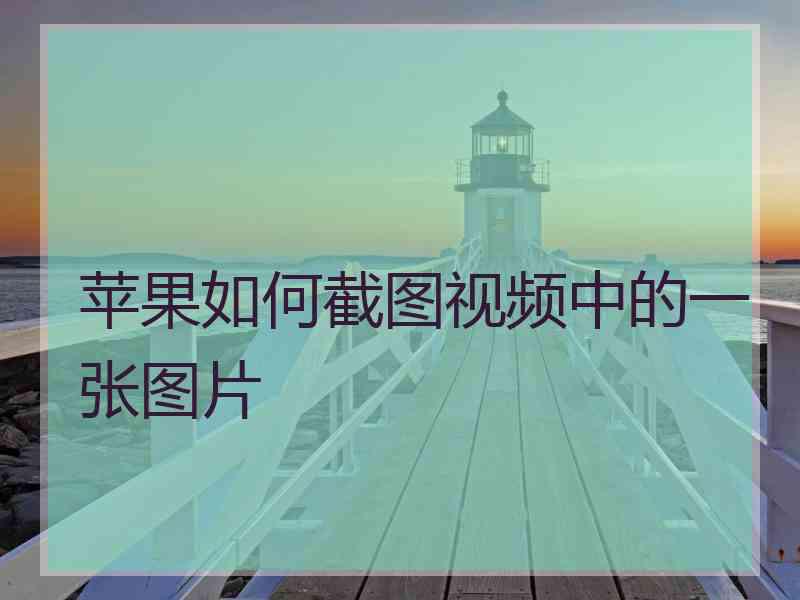 苹果如何截图视频中的一张图片