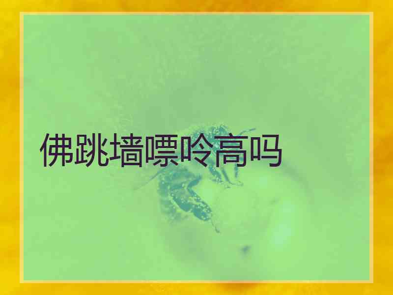 佛跳墙嘌呤高吗