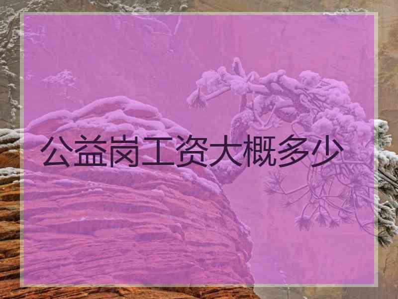 公益岗工资大概多少