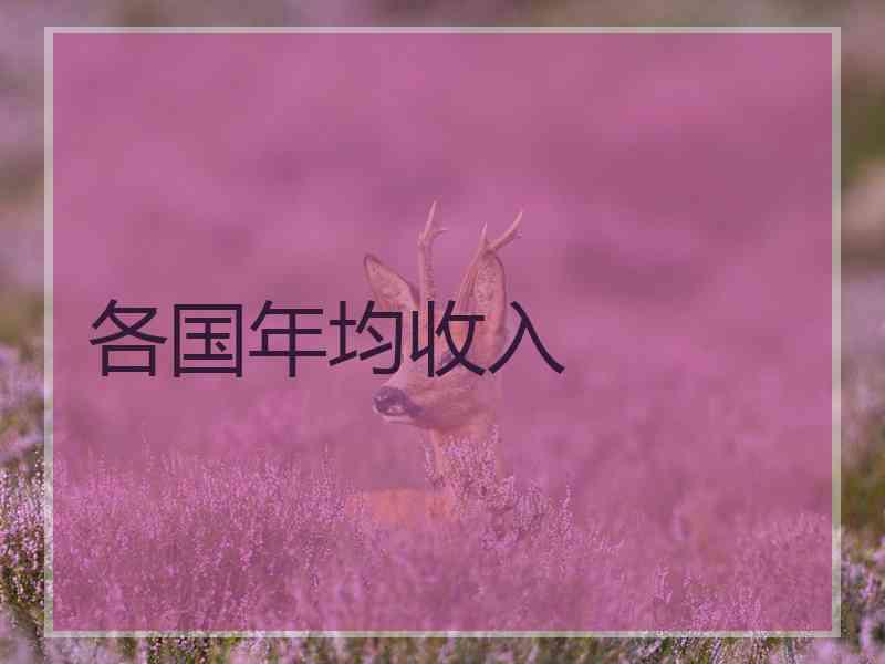 各国年均收入