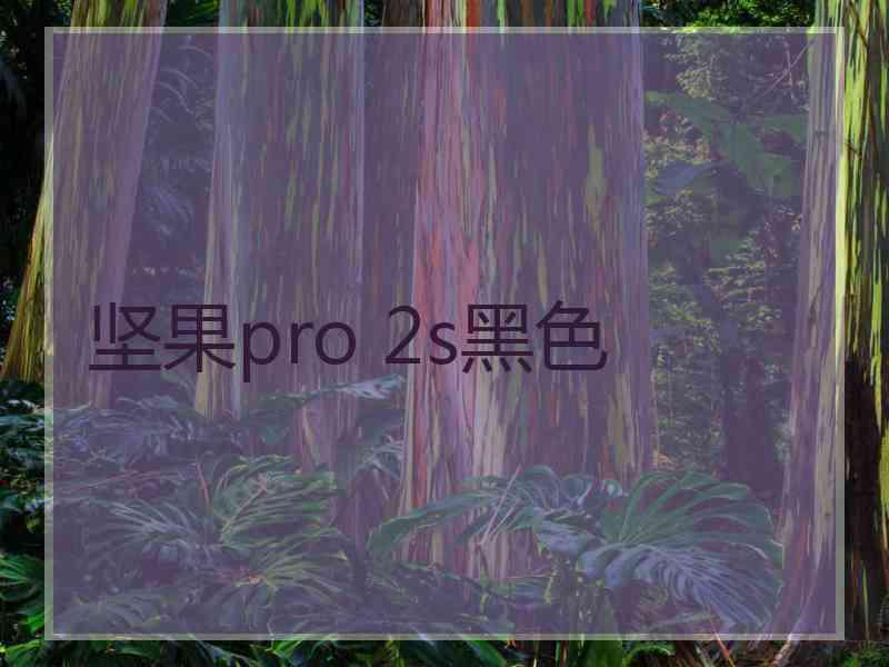 坚果pro 2s黑色