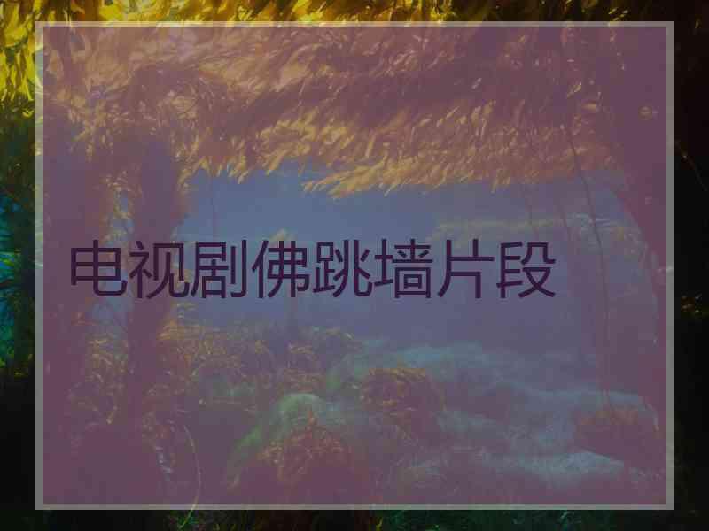 电视剧佛跳墙片段