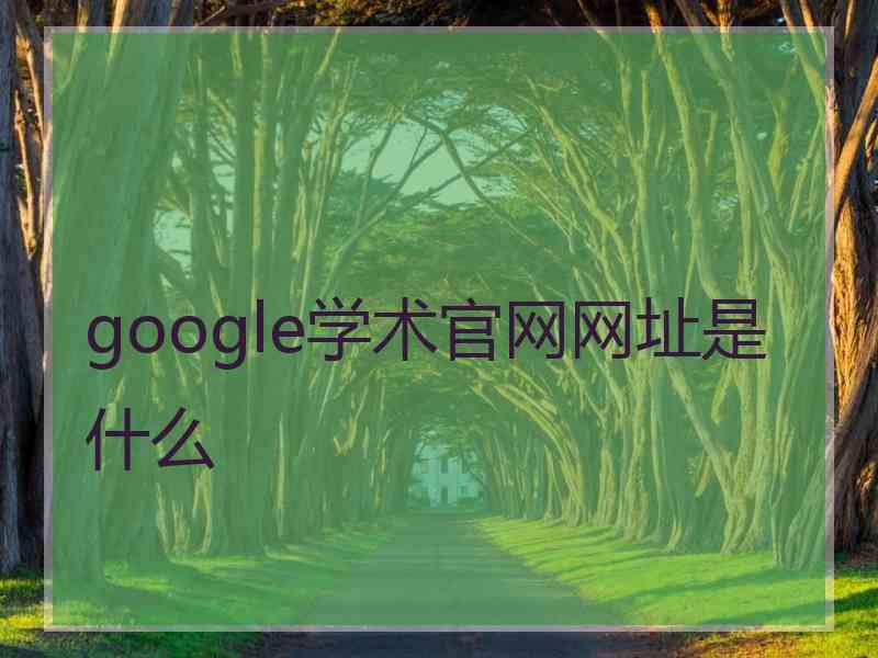 google学术官网网址是什么