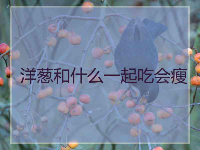 洋葱和什么一起吃会瘦