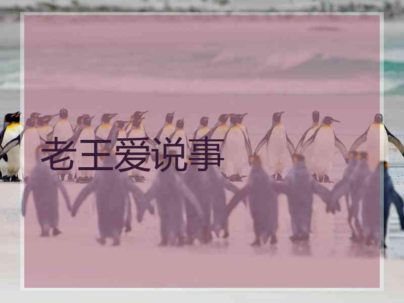 老王爱说事