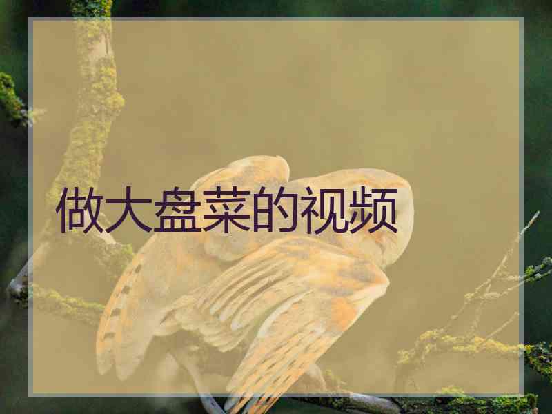 做大盘菜的视频