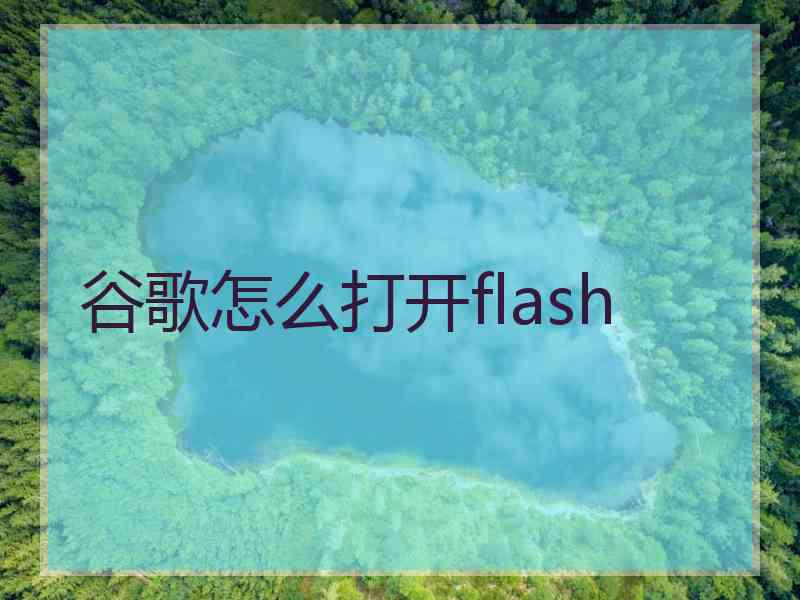 谷歌怎么打开flash
