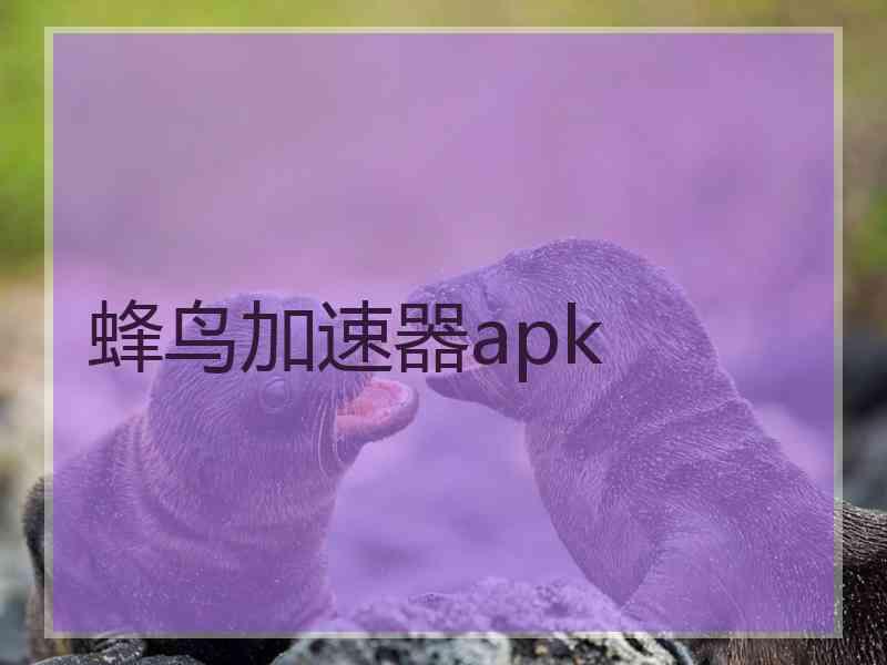 蜂鸟加速器apk