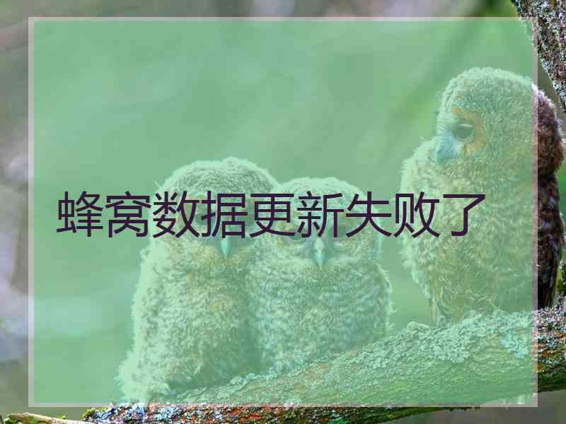 蜂窝数据更新失败了