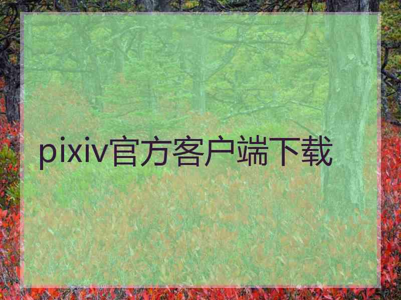 pixiv官方客户端下载