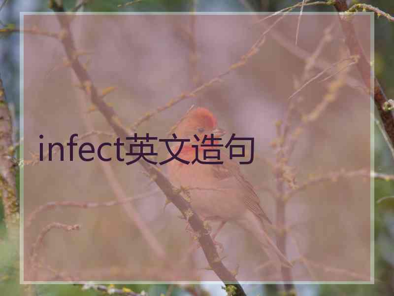 infect英文造句