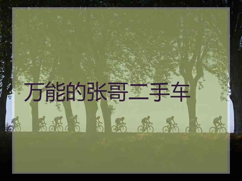 万能的张哥二手车