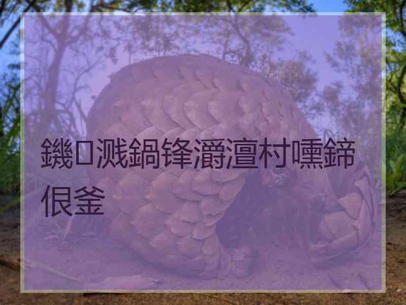 鐖溅鍋锋灂澶村嚑鍗佷釜