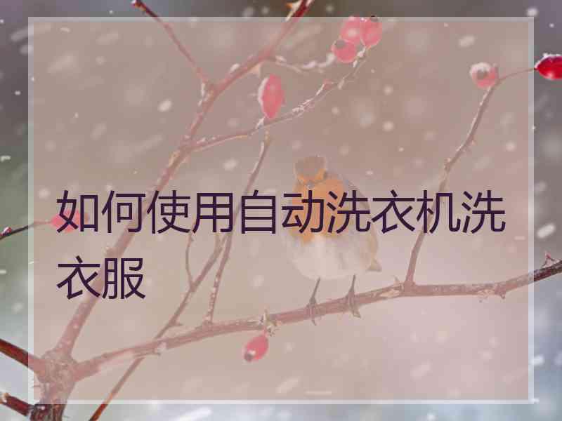 如何使用自动洗衣机洗衣服