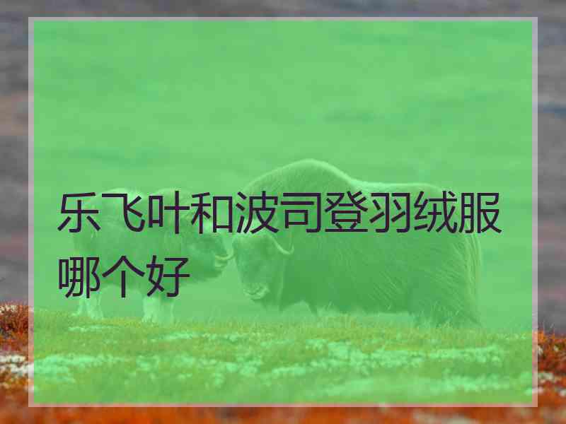 乐飞叶和波司登羽绒服哪个好