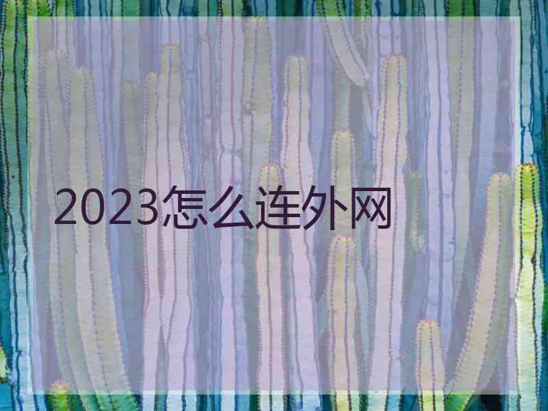 2023怎么连外网