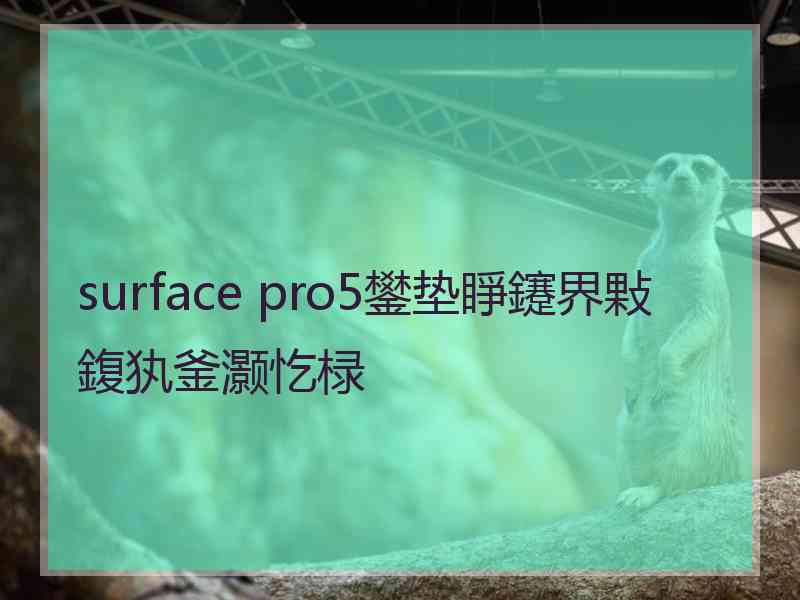 surface pro5鐢垫睜鑳界敤鍑犱釜灏忔椂