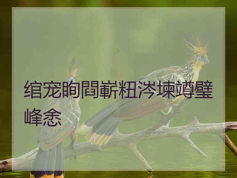 绾宠眴閰嶄粈涔堜竴璧峰悆