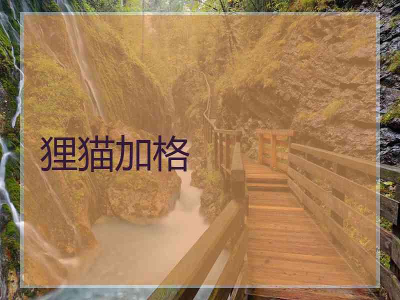 狸猫加格