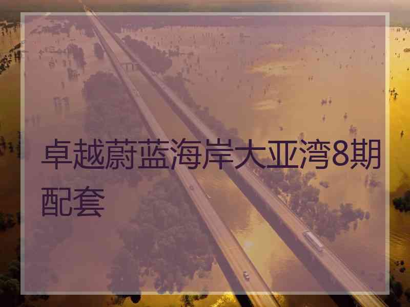 卓越蔚蓝海岸大亚湾8期配套