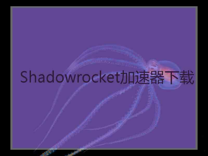 Shadowrocket加速器下载